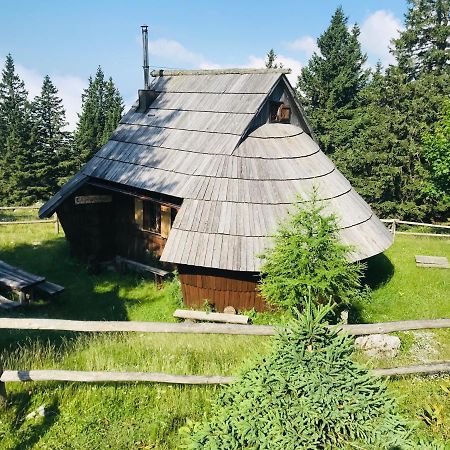 Chalet Gasparjeva Velika Planina Kamnik Exterior photo